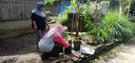 Pemanfaatan Pekarangan Kampung Aku Hatinya PKK