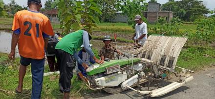 Pelatihan Pesemaian dan Tanam Padi Memakai Transplanter