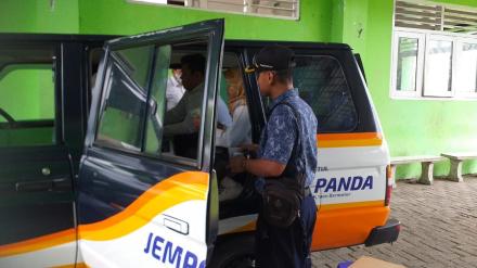 Jempol Si Panda