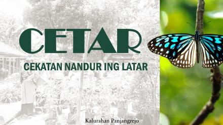 CETAR ( penanaman bibit sayuran dan obat-obatan keluarga )