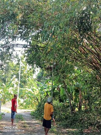 Kerjabakti Soronanggan Rt 03