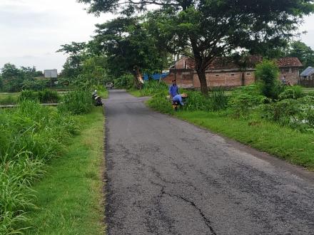 Kerja Bakti Linmas Kalurahan Panjangrejo